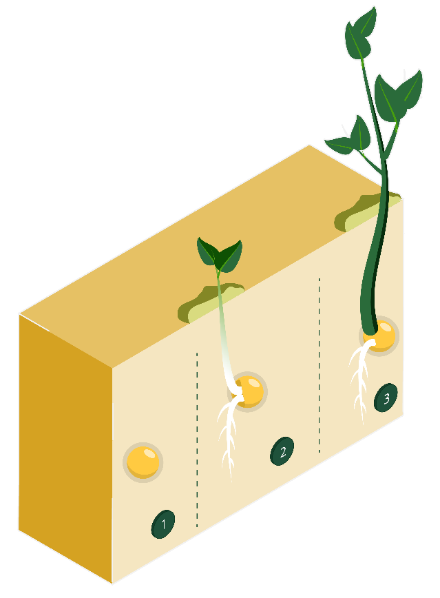 Isometric diagram of DuraTerra BioM's sequential release through the soil profile